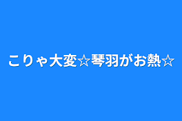 こりゃ大変☆琴羽がお熱☆