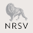 NRSV: Audio Bible for Everyone icon