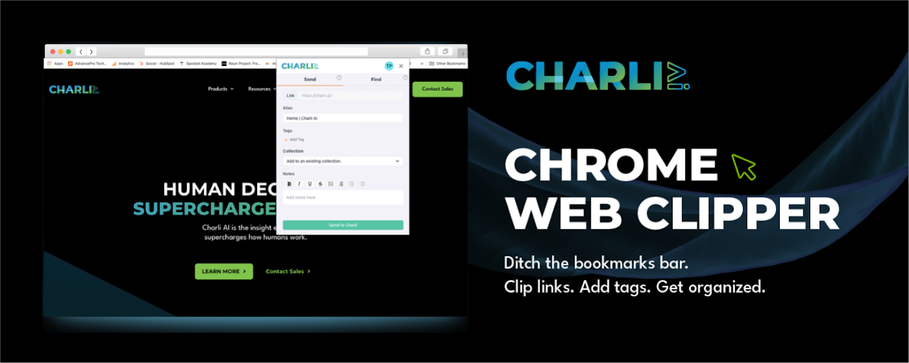 Charli Web Clipper Preview image 2