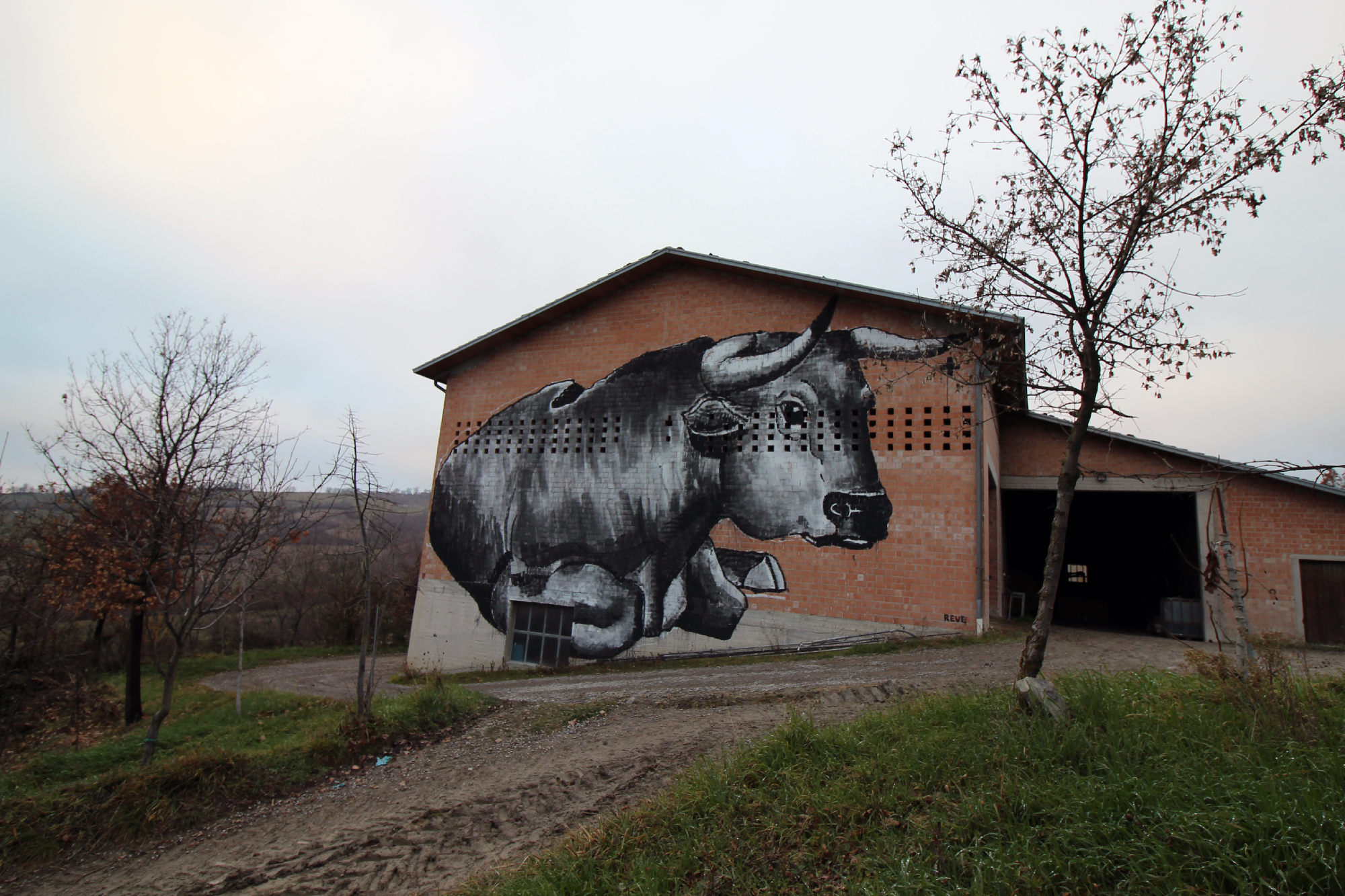 Street art taurus di annalisaiuiuiui