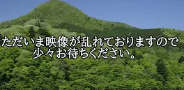 文豪ストレイドッグス 私が皆を救います！ ポートマフィアに入った版