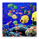 Download Fish Life in Wallpaper For PC Windows and Mac 1.3.0