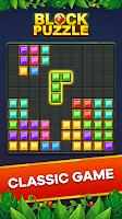 Block Puzzle Screenshot