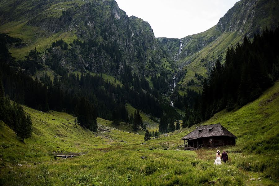 Fotografo di matrimoni Alin Florin (alin). Foto del 24 maggio 2018