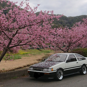 カローラレビン AE86