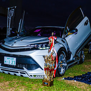 C-HR ZYX11