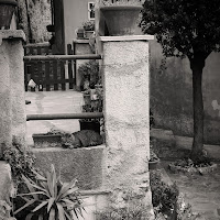 Una dormita tra le vie di Porto Venere di 