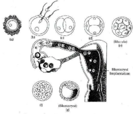 Solution Image