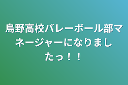 烏野高校バレーボール部マネージャーになりましたっ！！