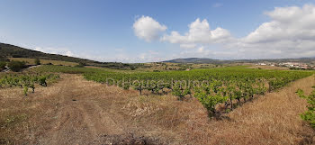 terrain à Montner (66)