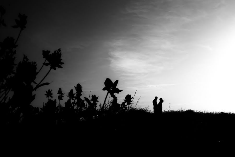 Fotografo di matrimoni Barbara Fabbri (fabbri). Foto del 23 giugno 2014