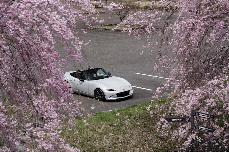 ロードスターのdiscover_ct・サクラと愛車に関するカスタム事例の投稿画像10枚目