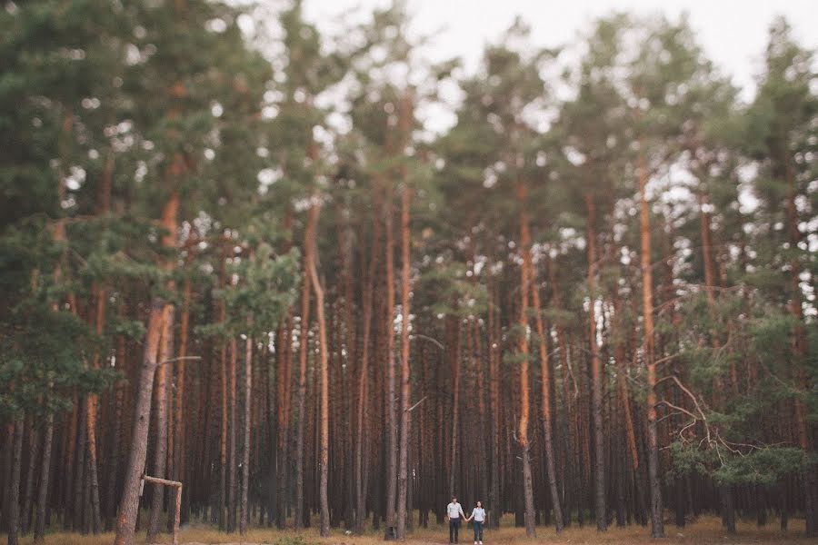 Wedding photographer Dima Taranenko (dimataranenko). Photo of 4 September 2013