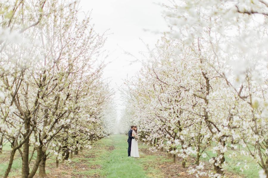 Fotógrafo de bodas Katarzyna Chudy (katarzynachudy). Foto del 14 de febrero 2020