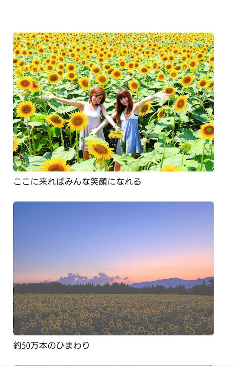 180SXの新潟県長岡市・黄組・🌻ひまわり🌻・アンダープロテクター取り付け・春の陽気に関するカスタム事例の投稿画像8枚目