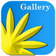 Gallery  Icon