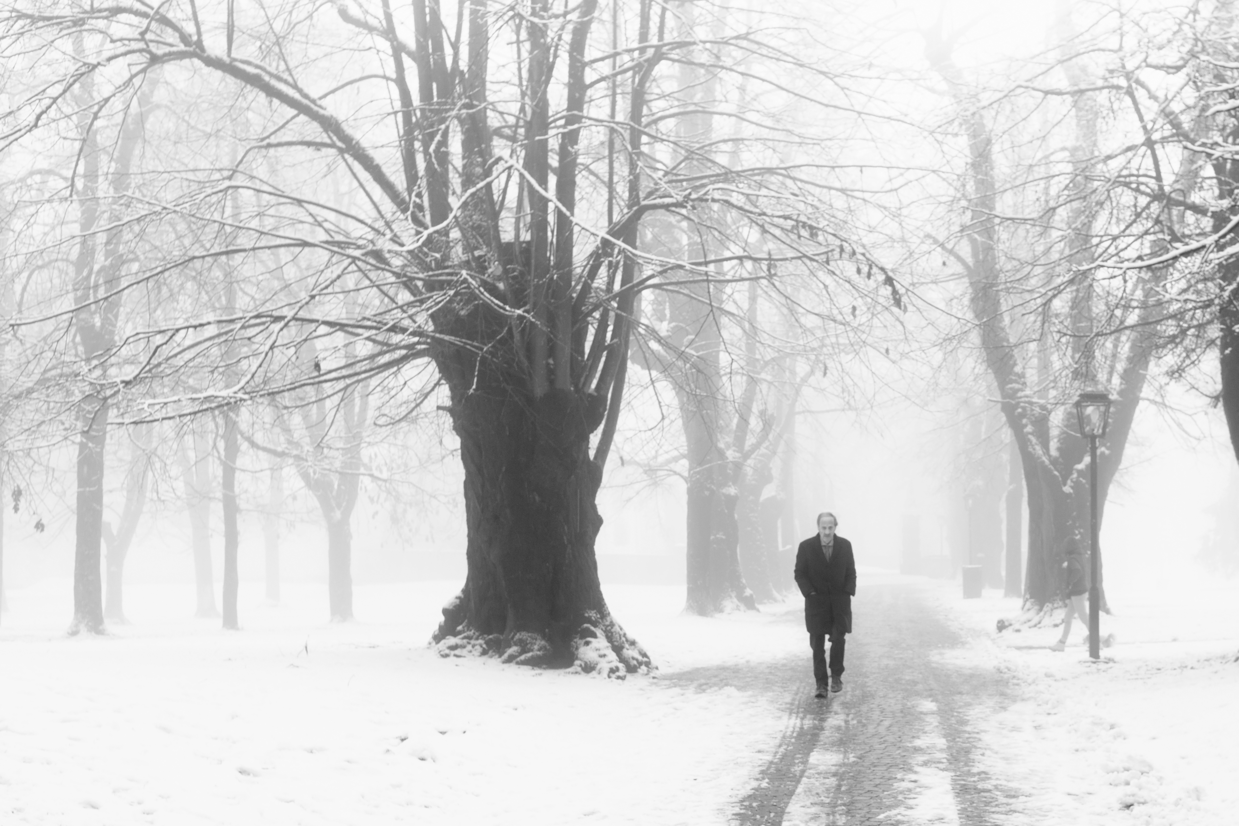 Lonely walk di Miki Sarace