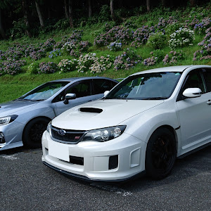 WRX STI VAB