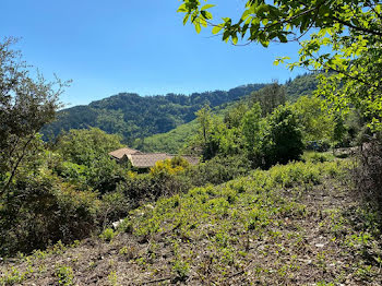 terrain à Le Collet-de-Dèze (48)