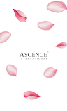 Ascence Ecommerce