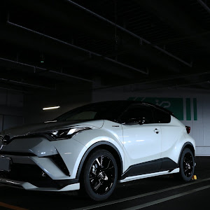 C-HR ZYX10