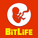 Bitlife Game