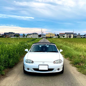 ロードスター NB6C