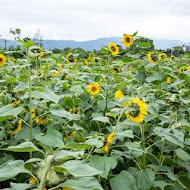 小和農村