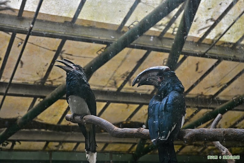 鳳凰谷鳥園雨林園