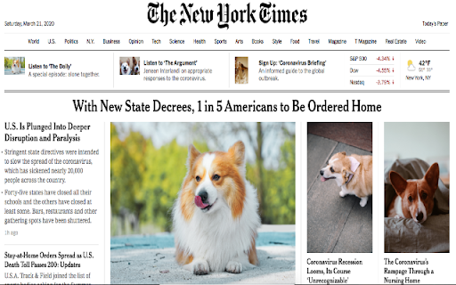 Corgi The News