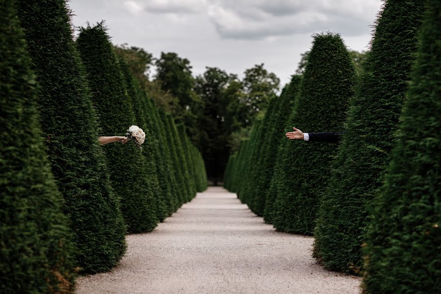 Svadobný fotograf Andrey Medvedyuk (medvediuk). Fotografia publikovaná 14. novembra 2019