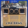 Loa Karaoke Mtmax Bk45 Cao Cấp - Loa Kéo 2 Bass 4 Tấc 2 Trung 2 Treble - Kèm 2 Micro Không Dây Công Suất 1000W