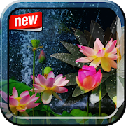 Lotus Photo Frame  Icon