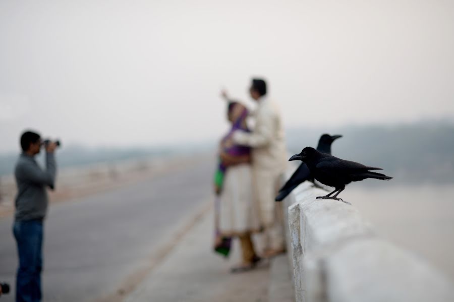 Fotógrafo de bodas Ranu Mistry (mistry). Foto del 24 de septiembre 2015