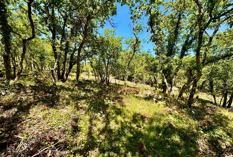  Vente Terrain à bâtir - à Ruoms (07120) 