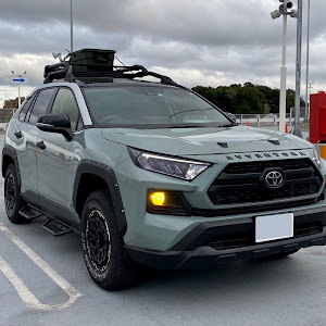 RAV4 MXAA54