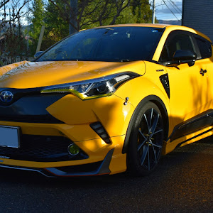 C-HR ZYX10