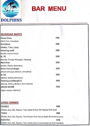 Dolphins Bar and Restaurant menu 