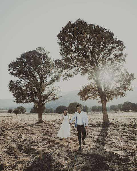 Fotógrafo de casamento Mohammadreza Zare (mohammadzare). Foto de 6 de novembro 2020