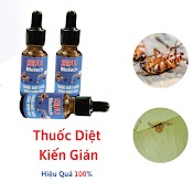 Thuốc Diệt Kiến - Gián Sinh Học Sifu Biotech - Chai 20Ml