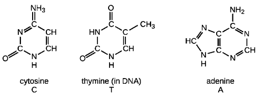 Solution Image