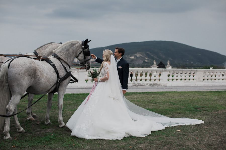 Düğün fotoğrafçısı Sergey Navrockiy (navrocky). 9 Ekim 2019 fotoları