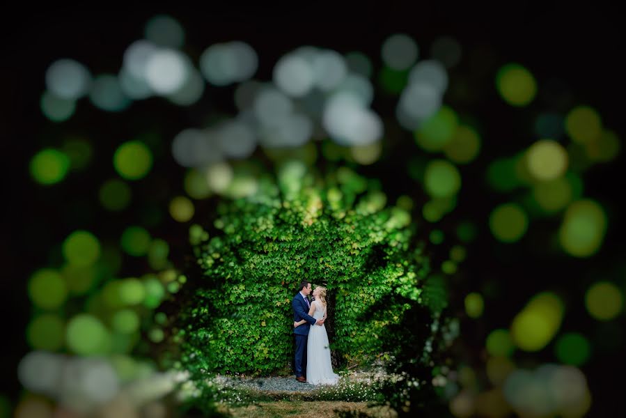 Fotógrafo de bodas Fiona Walsh (fionawalsh). Foto del 10 de agosto 2016