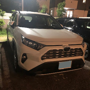 RAV4 MXAA54