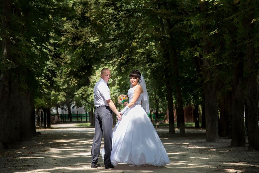 Wedding photographer Arina Elizarova (linusik). Photo of 18 August 2013