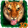 Thème 3D Tiger Launcher icon