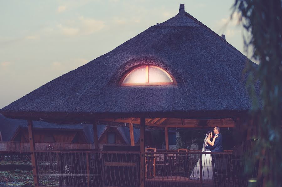 Photographe de mariage Roberto Cojan (cojanroberto). Photo du 19 septembre 2016