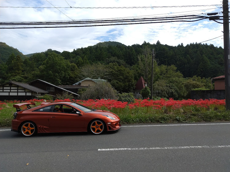 セリカの黒山三滝・道の駅ちちぶ・長瀞岩畳・運転が楽しい♪・曼珠沙華の咲く季節に関するカスタム事例の投稿画像2枚目