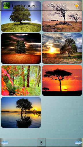 玩娛樂App|ツリー画像と背景免費|APP試玩