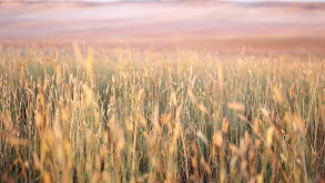 Bowhunting Pronghorn of the High Plains thumbnail